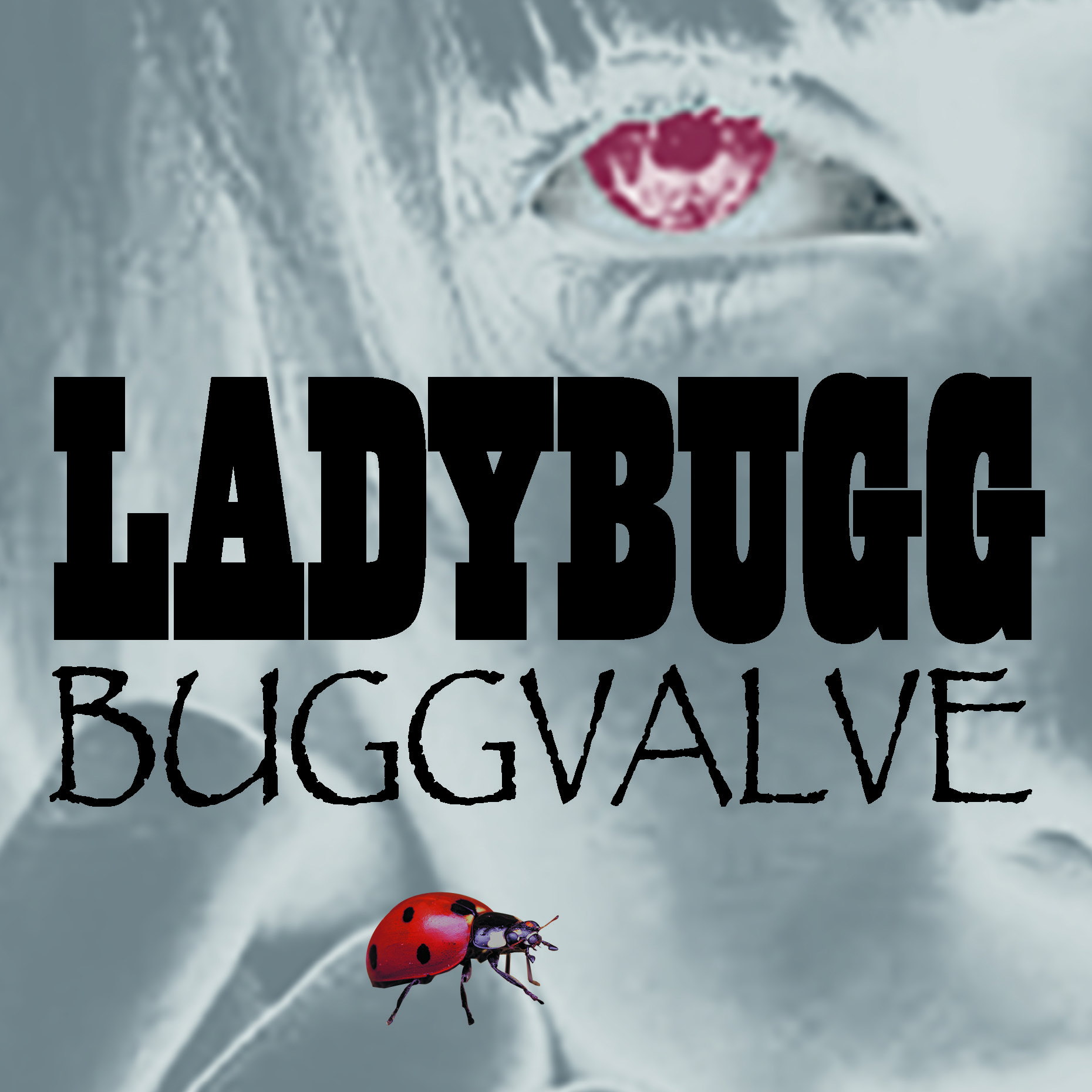 LADYBUGG / BUGGVALVE（バグバルブ）